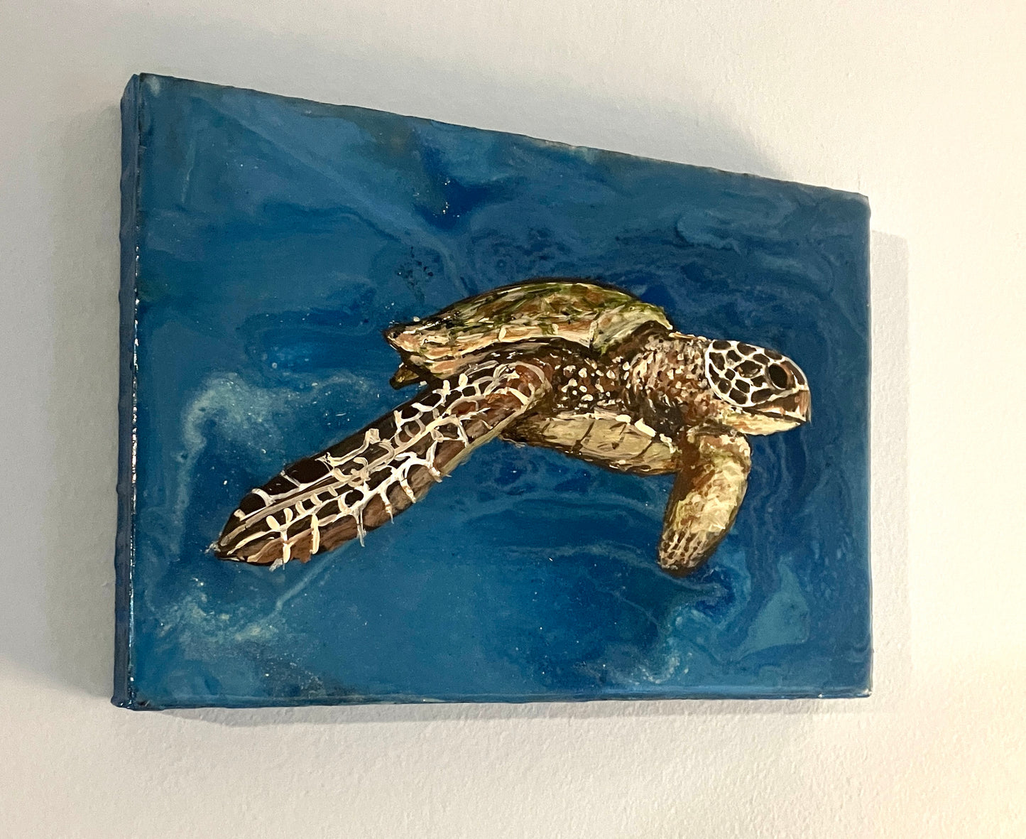 Green Sea Turtle 1 - Cape Mayed Creations