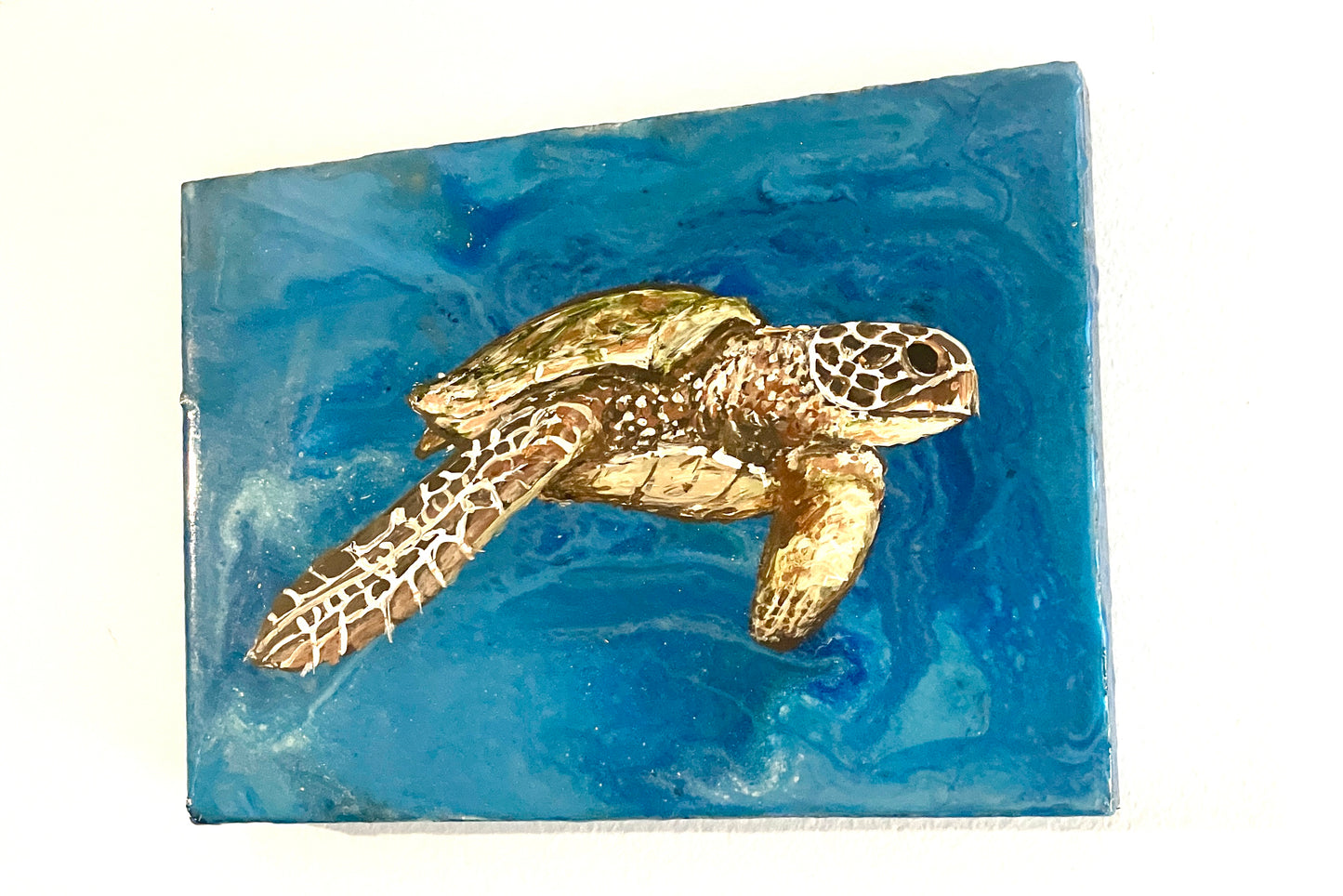 Green Sea Turtle 1 - Cape Mayed Creations