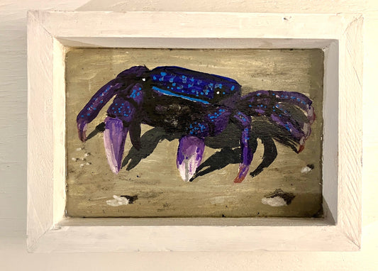 Purple Climber Crab - Cape Mayed Creations 