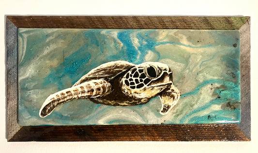 Green Sea Turtle 3 - Cape Mayed Creations 