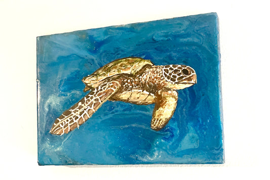 Green Sea Turtle 1 - Cape Mayed Creations 