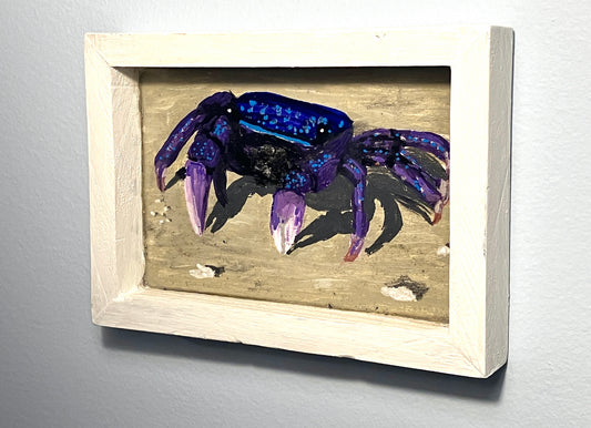 Purple Climber Crab - Cape Mayed Creations 