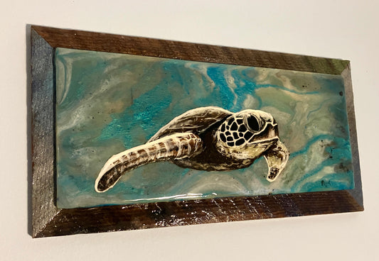 Green Sea Turtle 3 - Cape Mayed Creations 