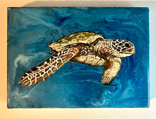 Green Sea Turtle 1 - Cape Mayed Creations 